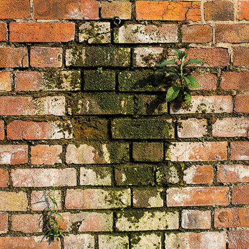 Brick Washing