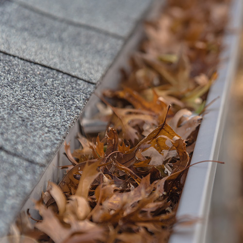 Gutter Cleaning